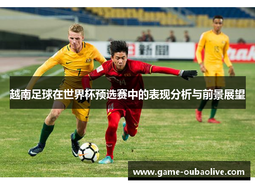 越南足球在世界杯预选赛中的表现分析与前景展望