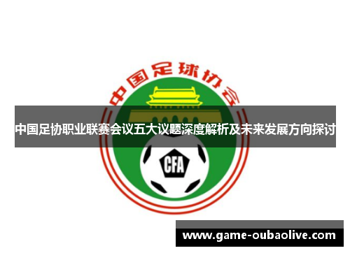 中国足协职业联赛会议五大议题深度解析及未来发展方向探讨